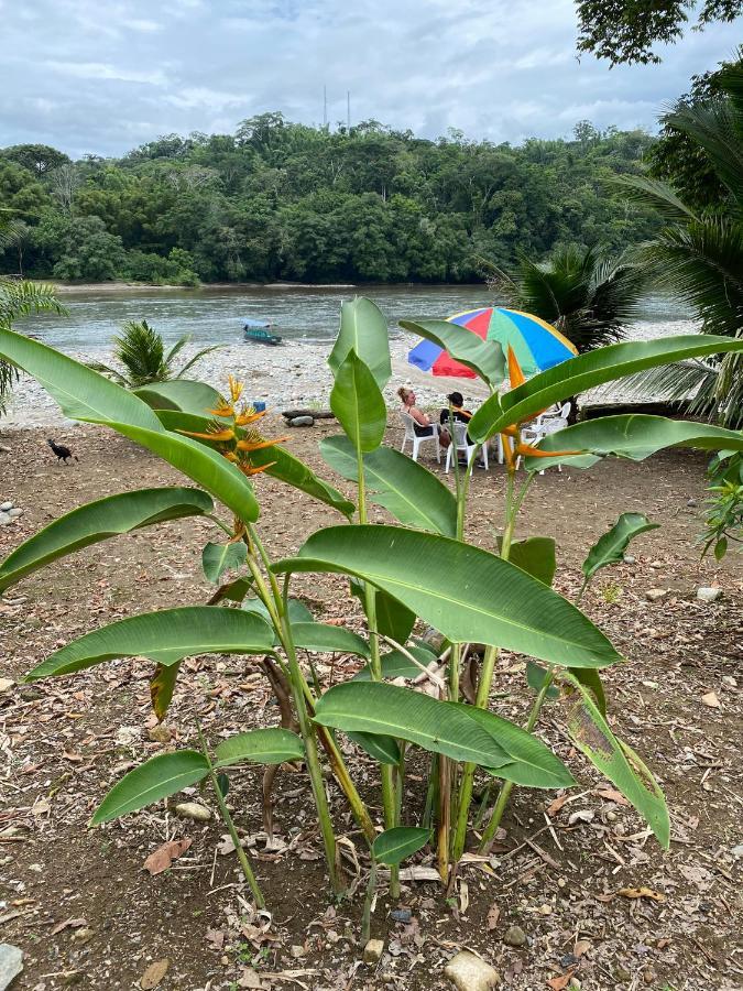 Appartamento Playa Tortuga Puerto Misahuallí Esterno foto
